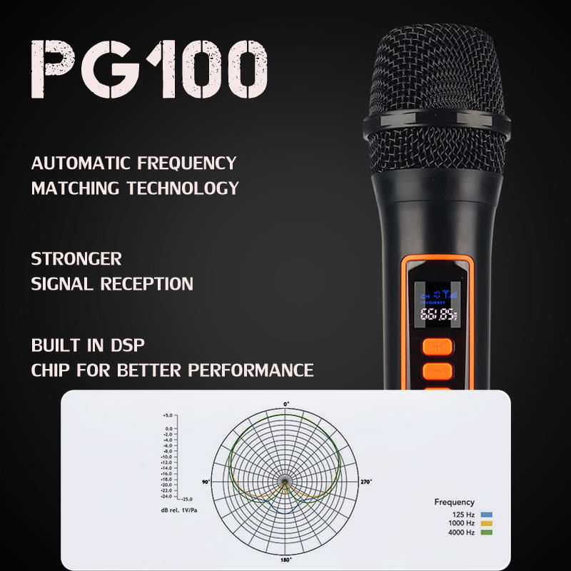 Microphones Sans Fil WEISRI DM-204 Duo Rechargeables