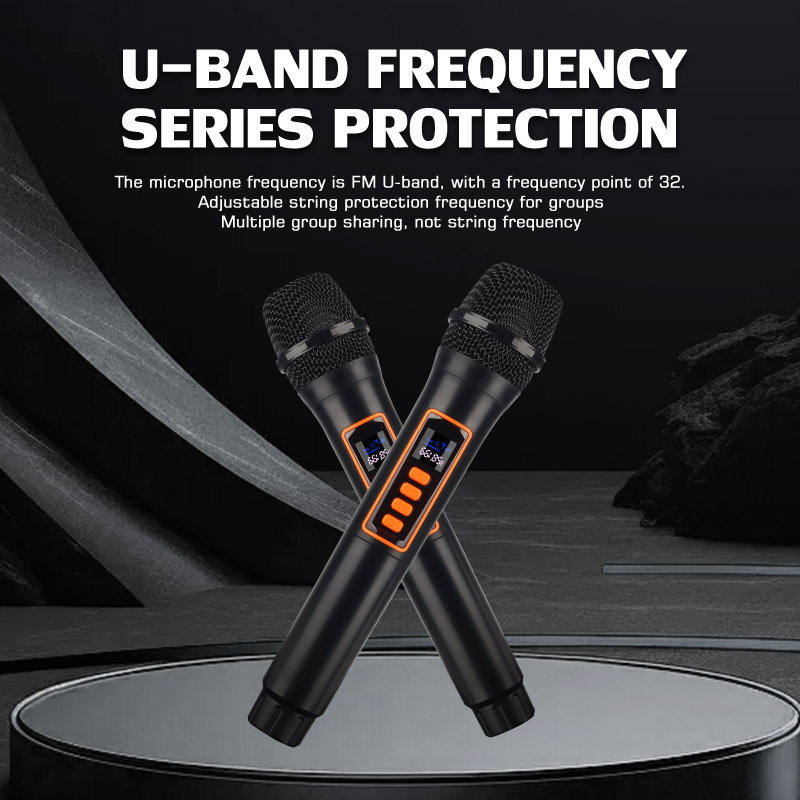 Microphones Sans Fil WEISRI DM-204 Duo Rechargeables