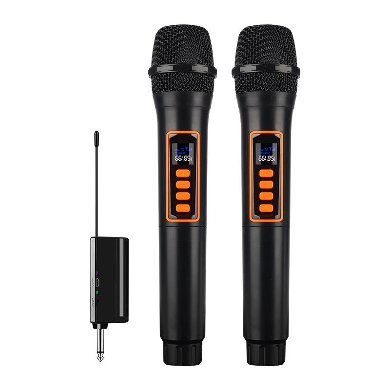 Microphones Sans Fil WEISRI DM-204 Duo Rechargeables